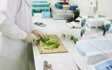 食品重金屬檢測(cè)儀，關(guān)注食品安全，防范重金屬危害